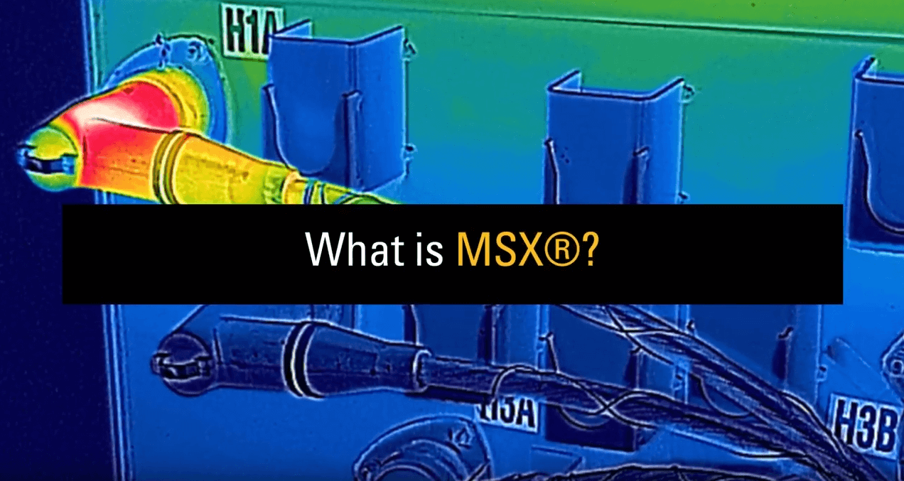 WAS IST FLIR MSX®?